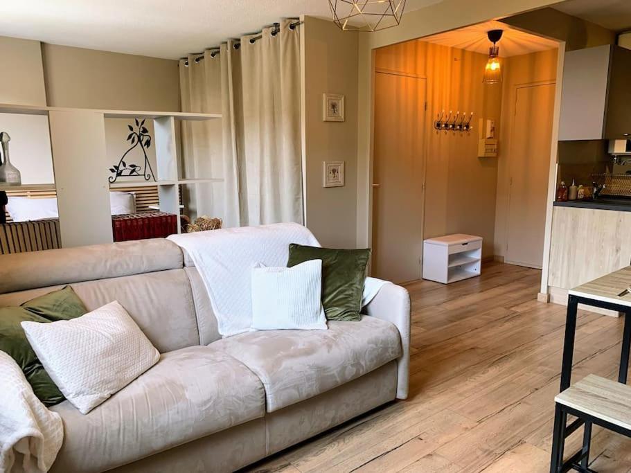 Appartement Cosy Proche Centre Draguignan Zewnętrze zdjęcie
